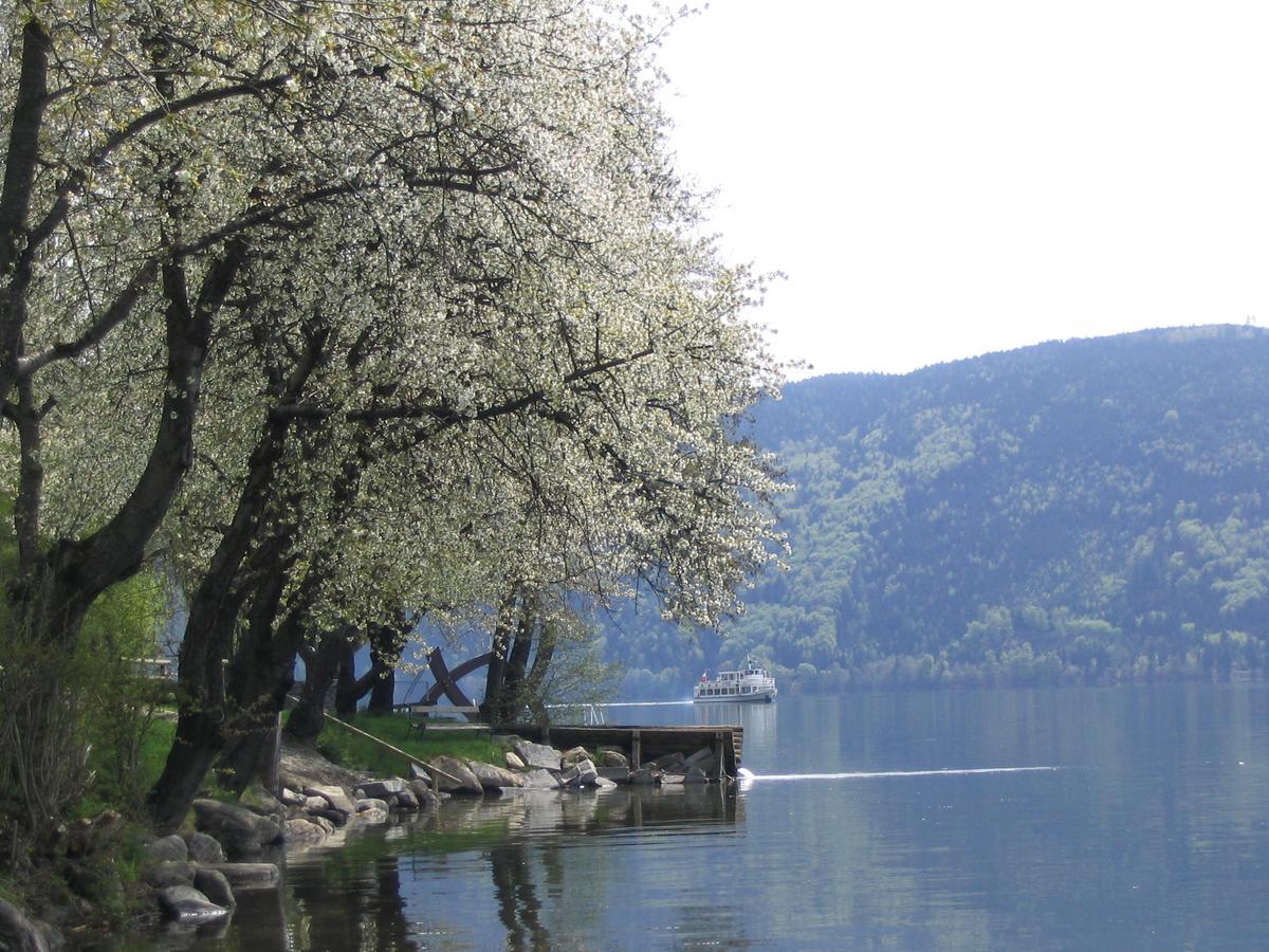 Camping Neubauer - Mobilheime Millstatt Luaran gambar